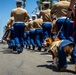 San Diego County Fair 4th of July Parade