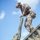 Danish International Sniper Competition