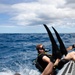 Partner nation divers build combined force capabilities at RIMPAC 2024