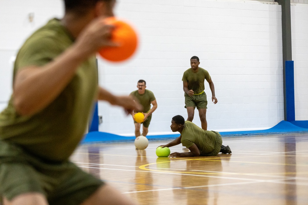 MRF-D 24.3 Command Element Marines, Sailors participate in friendly dodgeball, ultimate frisbee games