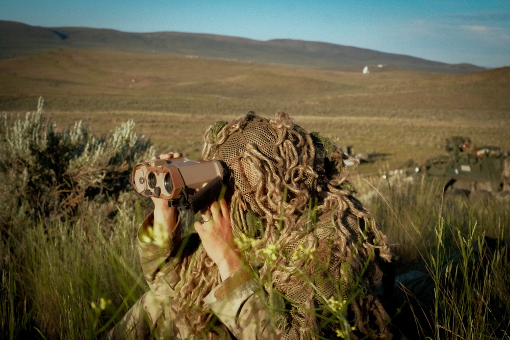 Dark Rifle snipers overwatch annual training