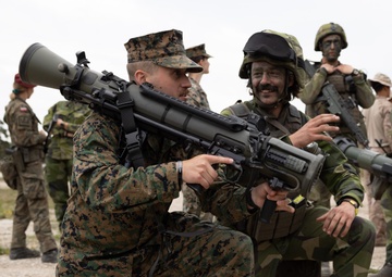 Joint Warriors Night on Gotland Island