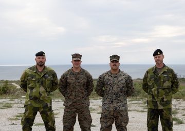 Joint Warriors Night on Gotland Island