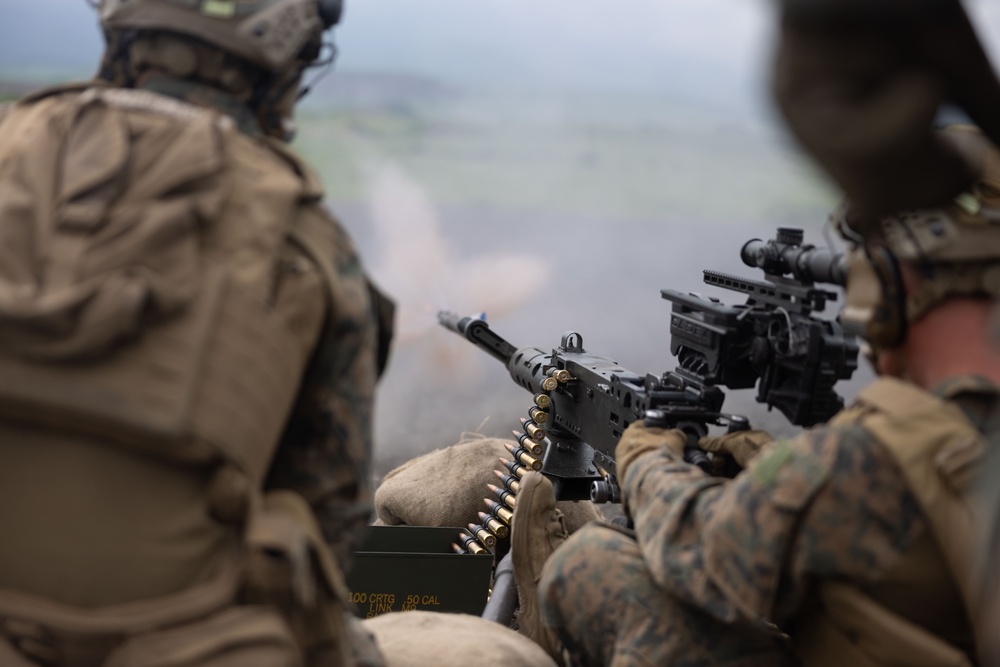 4th Marines Execute a Platoon Defense and Mobile Defense During Fuji Viper 24.3  