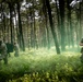 MOS-T Course War Phase day 2