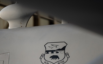 163D Attack Wing Aircraft Maintenance Squadron