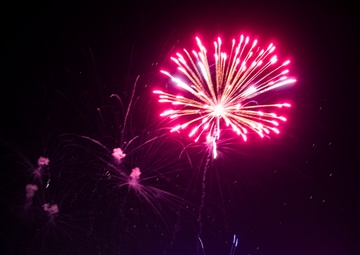 Fort Gregg-Adams community commemorates national independence together