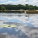 Alligator snapping turtles get released at Barksdale