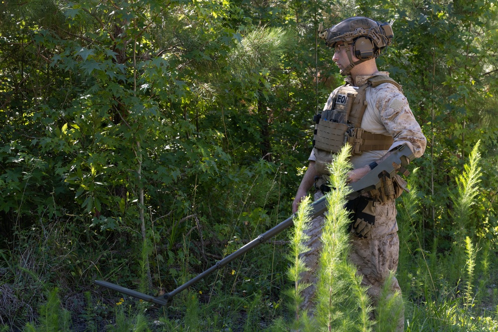 Cherry Point EOD Mine Sweep