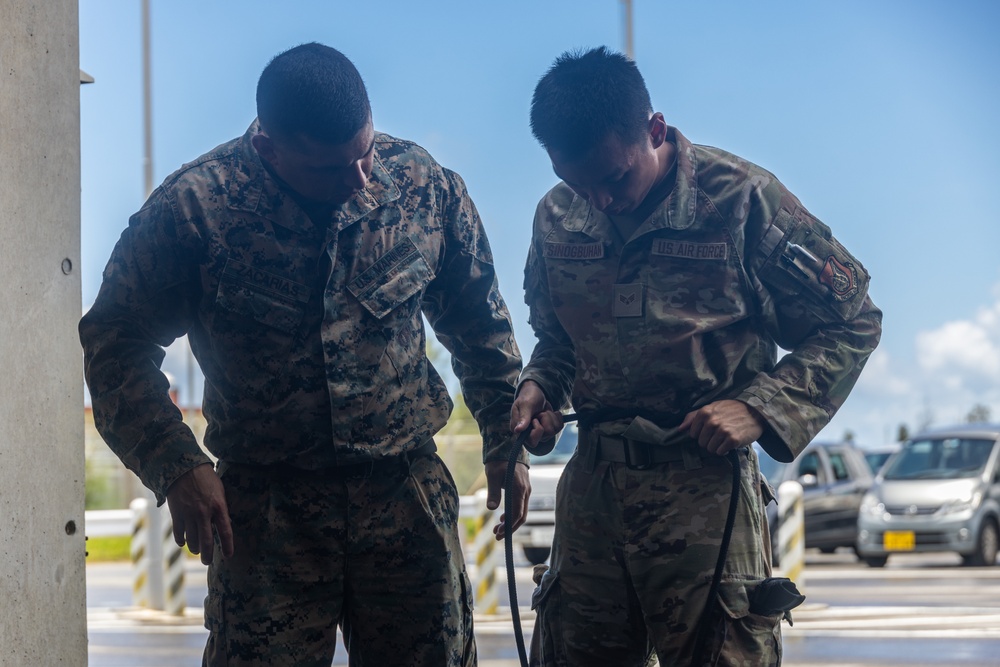 U.S. Service Members Participate in a Helicopter Rope Suspension Techniques Training Exercise