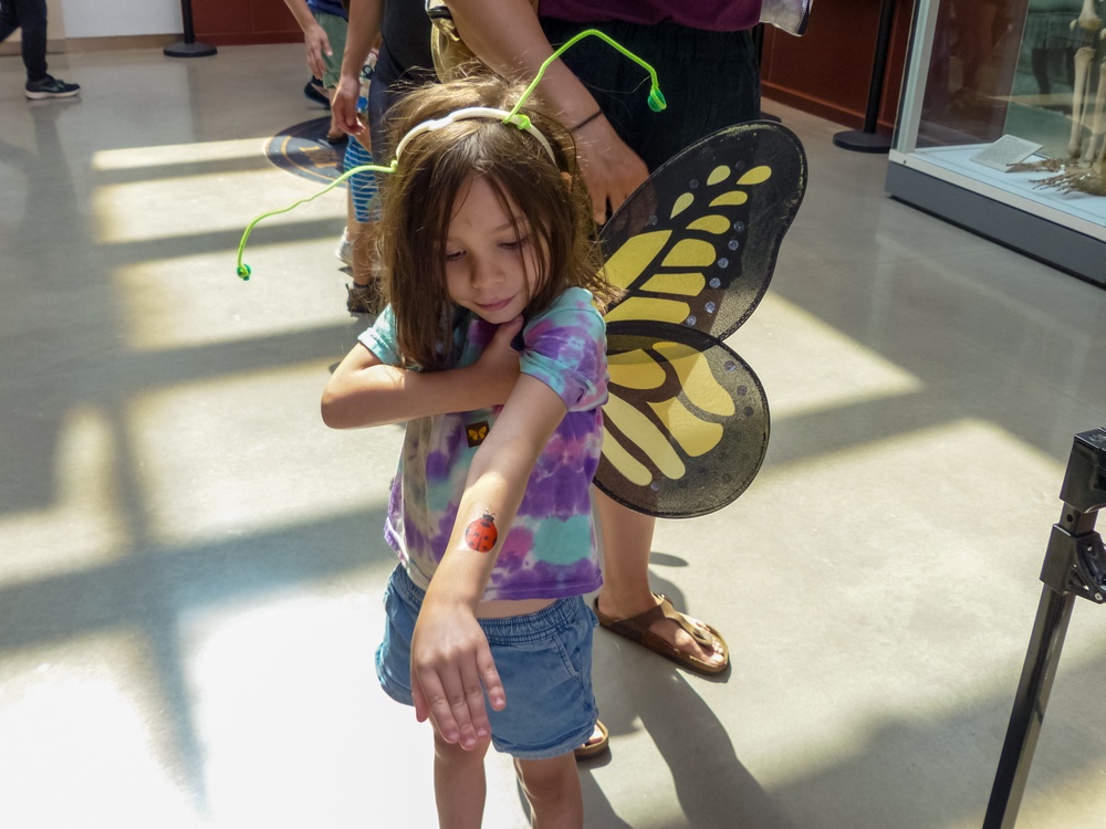 Bugapalooza 2024