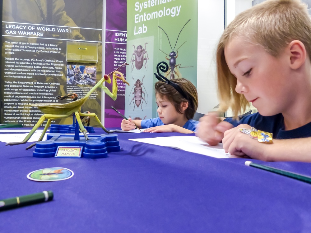 Bugapalooza 2024