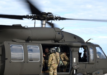 Piney Devil Prime BEEF Exercise