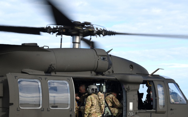 Piney Devil Prime BEEF Exercise