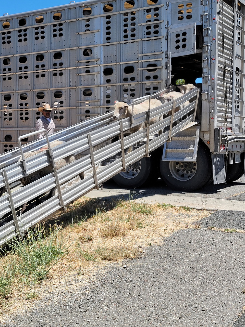 Travis AFB uses agricultural means for environmental protection