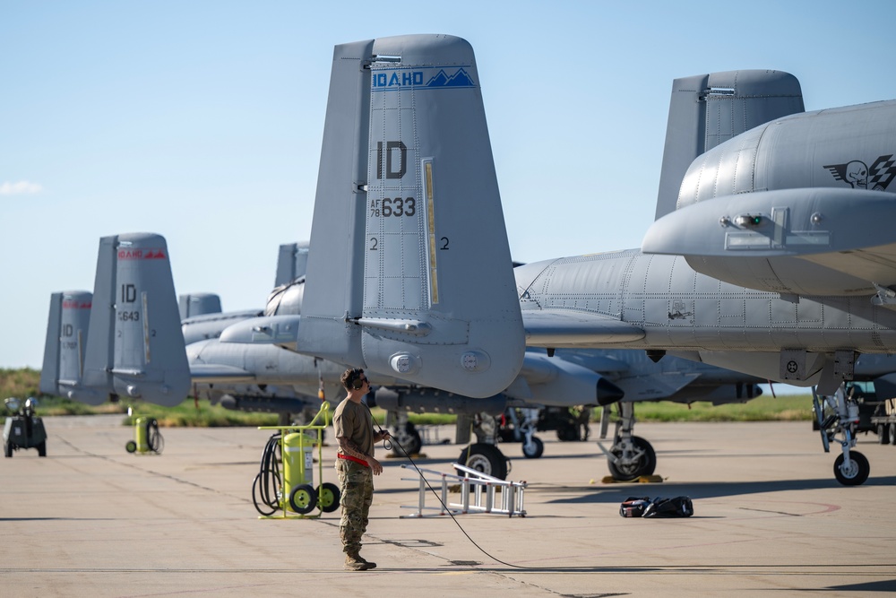 Airmen from Idaho support WSEP