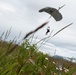 Pararescuemen, paratroopers, tactical air controllers conduct joint airborne operations