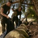 Valiant Shield 24: CLB-13 Beach Community Clean Up