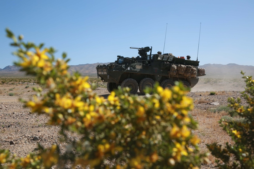 CBRNE Soldiers train to support large-scale combat operations at National Training Center