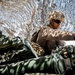 Marines fire artillery during Integrated Training Exercise 4-24