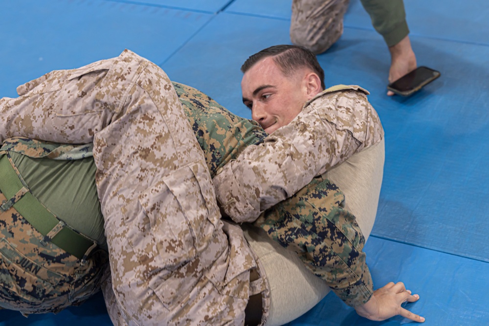 MRF-E 24.2 Marine Corps Martial Arts Program