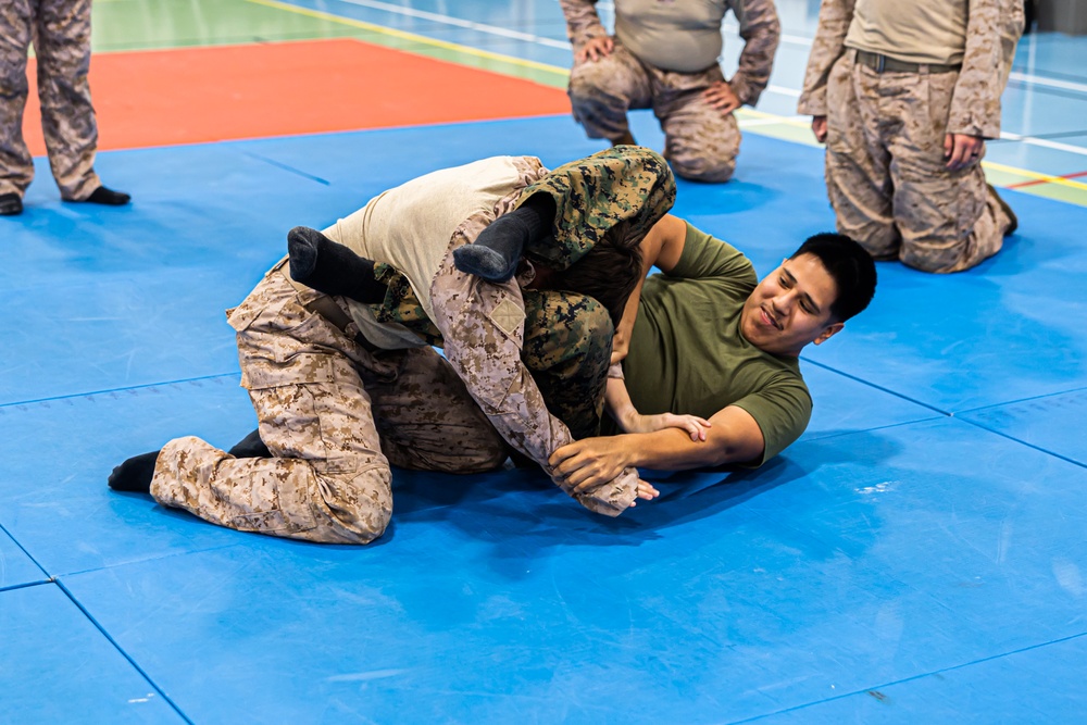 MRF-E 24.2 Marine Corps Martial Arts Program