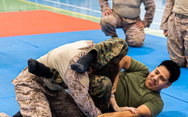 MRF-E 24.2 Marine Corps Martial Arts Program