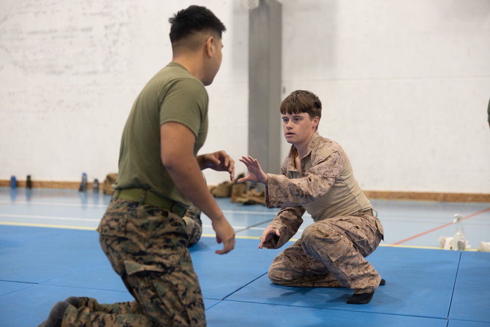 MRF-E 24.2 Marine Corps Martial Arts Program