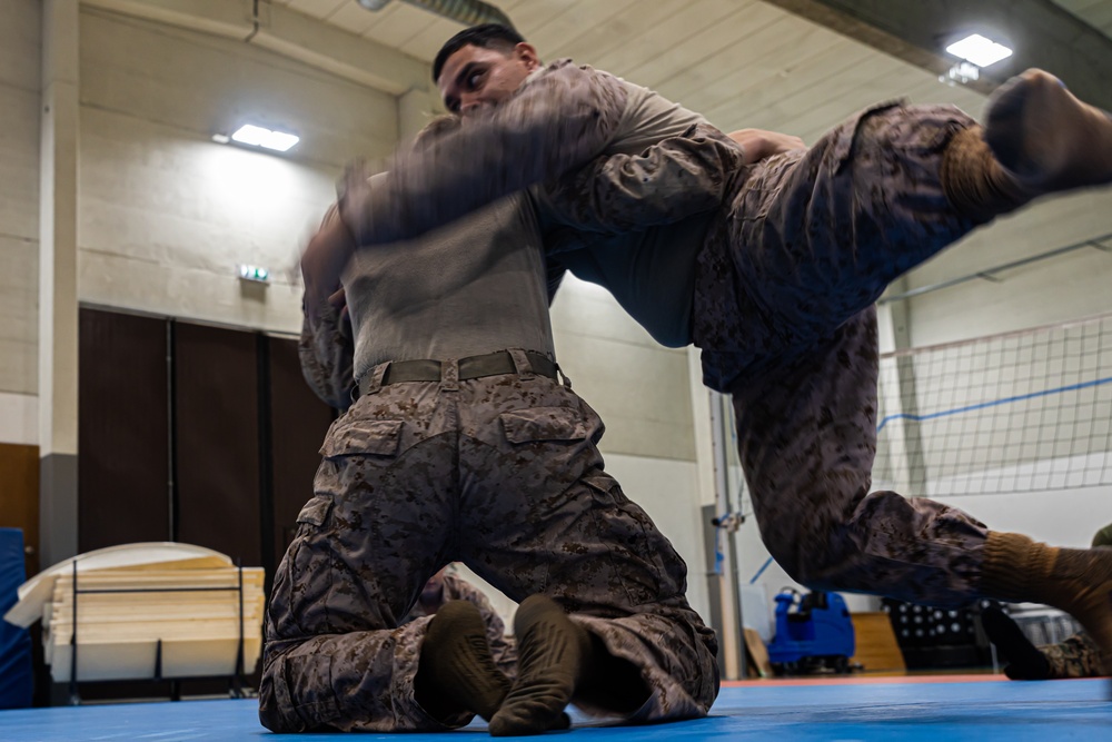 MRF-E 24.2 Marine Corps Martial Arts Program