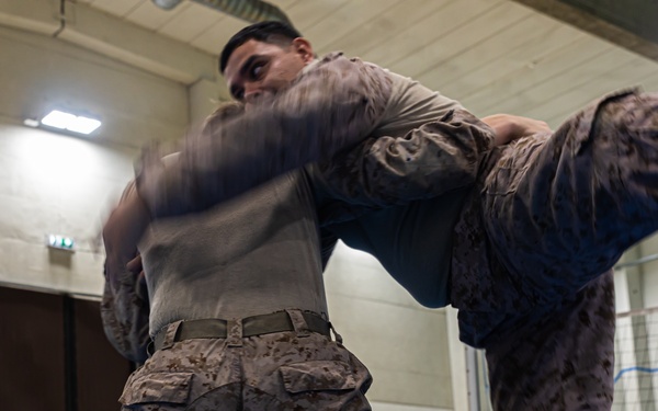 MRF-E 24.2 Marine Corps Martial Arts Program