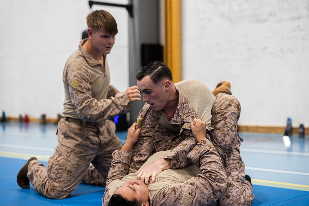 MRF-E 24.2 Marine Corps Martial Arts Program