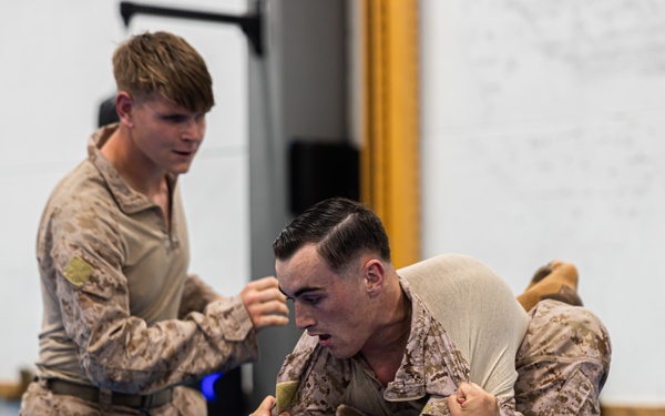 MRF-E 24.2 Marine Corps Martial Arts Program
