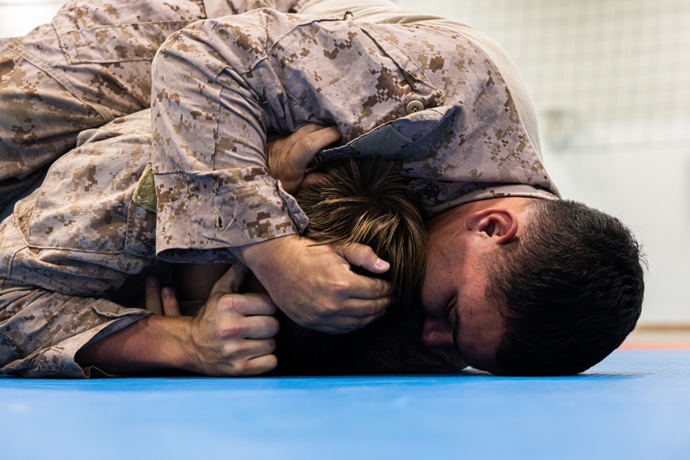 MRF-E 24.2 Marine Corps Martial Arts Program