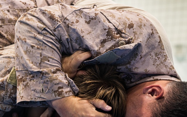 MRF-E 24.2 Marine Corps Martial Arts Program