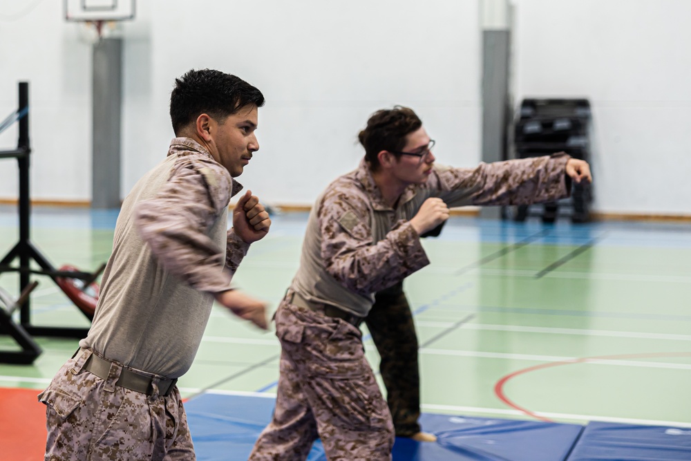 MRF-E 24.2 Marine Corps Martial Arts Program