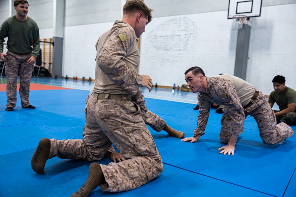 MRF-E 24.2 Marine Corps Martial Arts Program