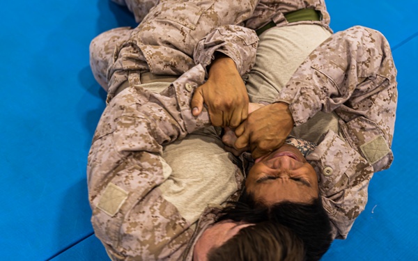 MRF-E 24.2 Marine Corps Martial Arts Program