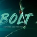 BOLT: A comprehensive airman fitness initiative