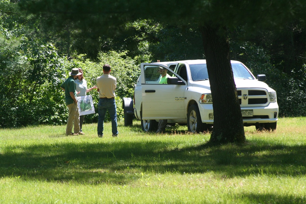 Understanding impact of invasive species helps reduce their impact on environment