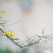 Landscaped Flowers at 163d Attack Wing Honor Air Force Traditions