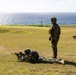 U.S. Marines and partners conduct fire team maneuvers during RIMPAC 2024