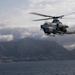 Wasp Passes Through The Strait Of Gibraltar