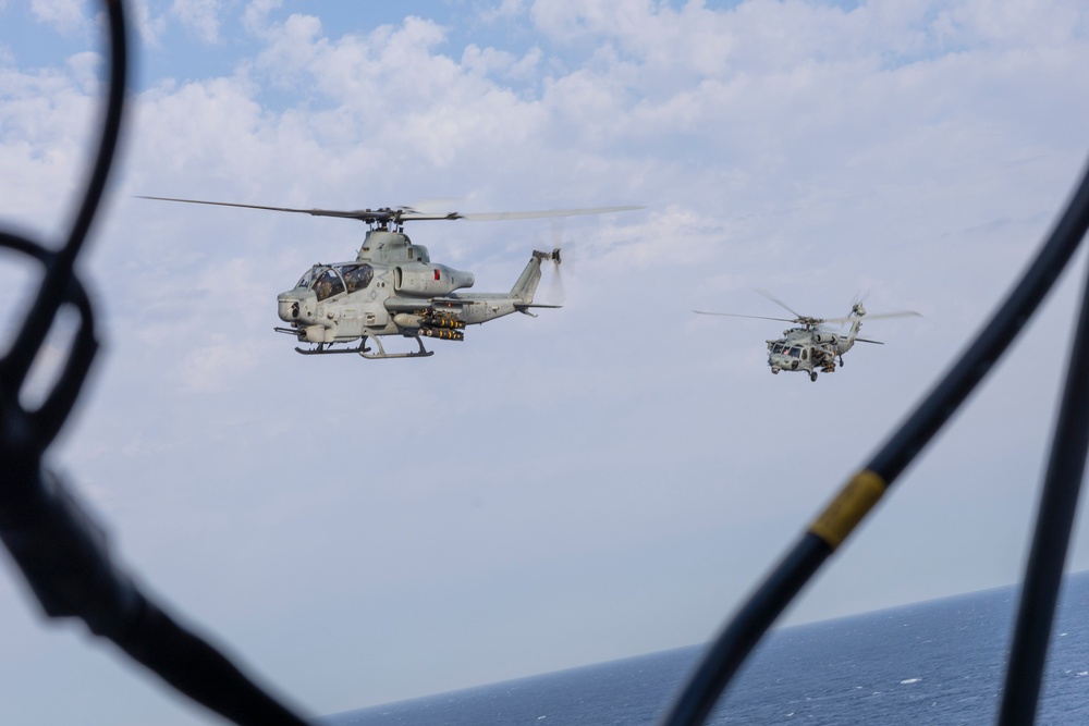 Wasp Passes Through The Strait Of Gibraltar