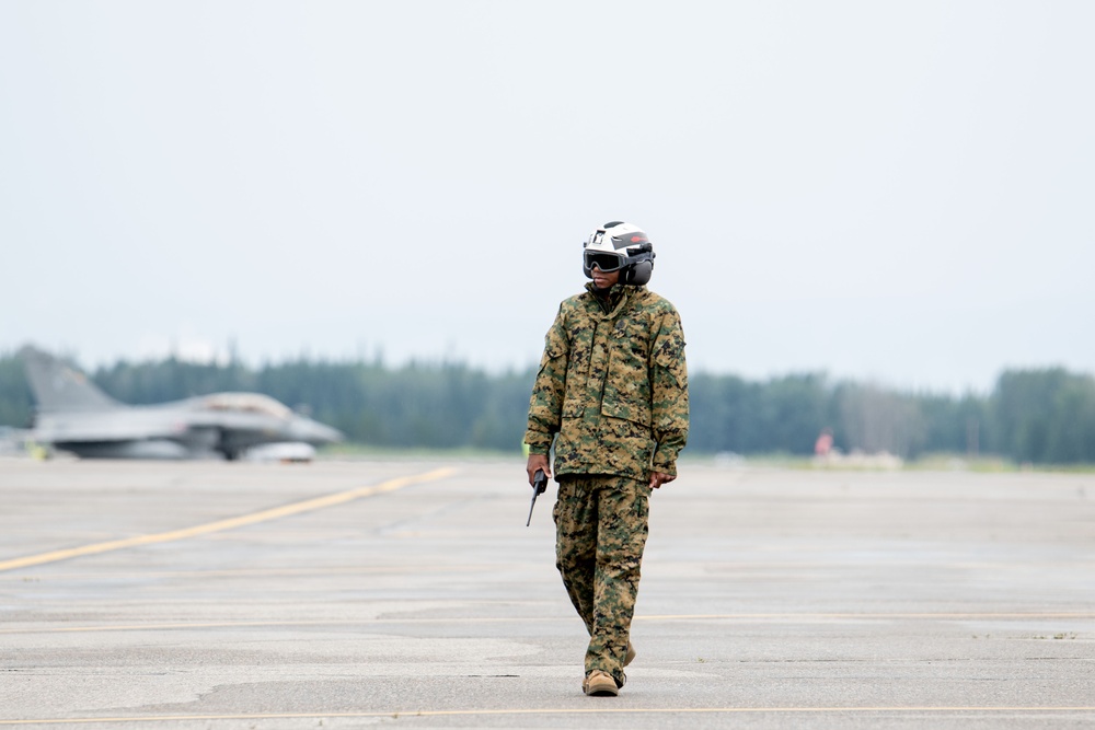 Arctic Defender | VMFA-232 (Rein.) Conducts Simulated SEAD Mission with Allied Forces