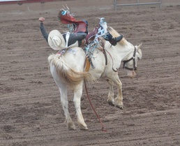 Pikes Peak or Bust Rodeo recognizes military members