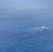 Dubuque smokes from missile strikes during RIMPAC 2024 SINKEX