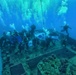 EODMU-11 dives with partners during force integration phase of RIMPAC 2024