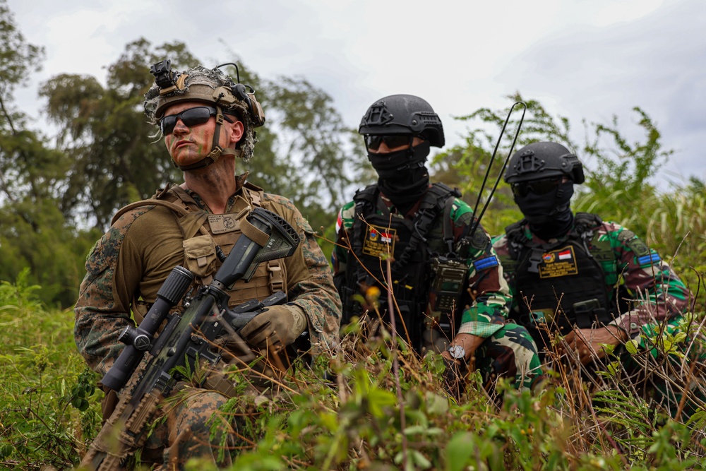 Combined forces conduct air assault exercise during RIMPAC 2024