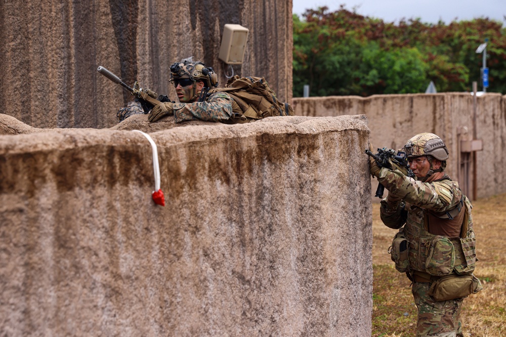 DVIDS - Images - Combined forces conduct air assault exercise during ...