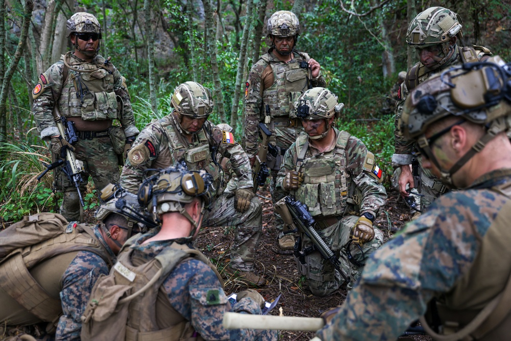 Combined forces conduct air assault exercise during RIMPAC 2024